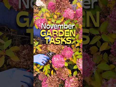 Winter Garden Prep Tasks To Do RIGHT NOW