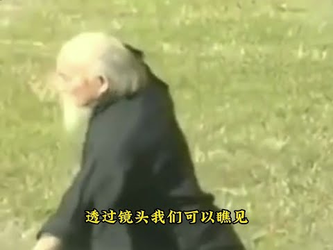 Lu Zijian's real image of practicing martial arts is as light as a swallow at the age of 100  break