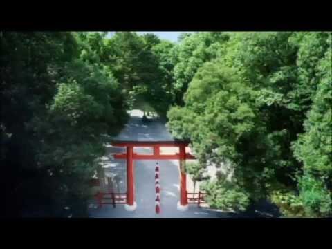 そうだ京都行こう－下鴨神社　2015年7月