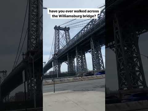 Have you ever walked across the Williamsburg bridge? #shahshorts #dayofshah #williamsburgbridge