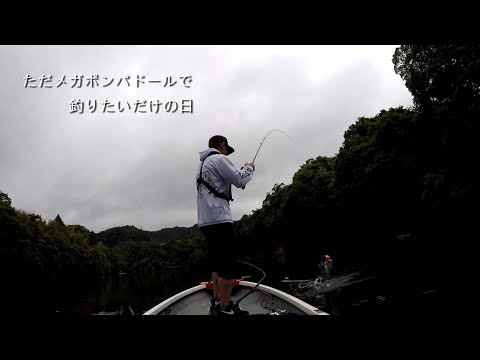 トップウォータールアー メガポンパドールで釣りたい日（バス釣り）（亀山ダム）