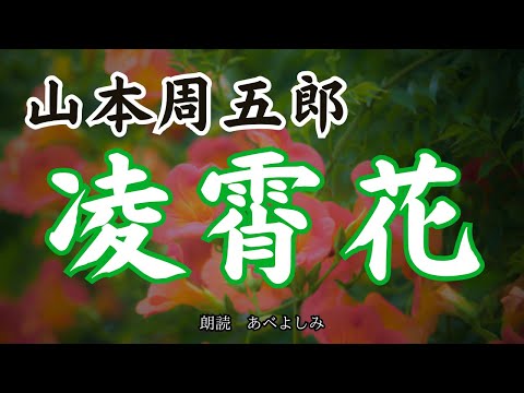 【朗読】山本周五郎「凌霄花」　　朗読・あべよしみ