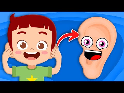 Explore The Parts Of YOUR Ears! | Human Body Songs For Kids | KLT Anatomy