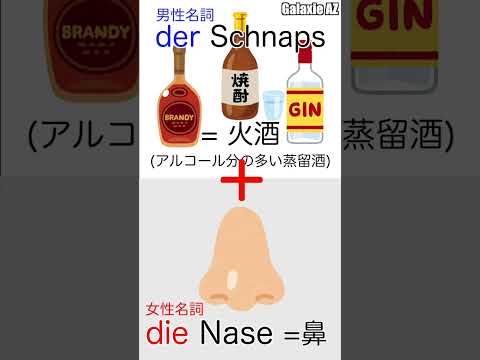 ドイツ🇩🇪語で「酒の鼻」って何？🤔 #shorts #ドイツ語 #ショート動画