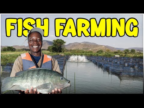 Fish Farming - Success Story