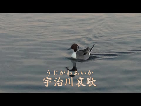 宇治川哀歌 　石川さゆり