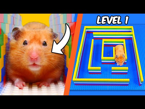 I built a LEGO MAZE for a HAMSTER...