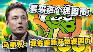 马斯克：我会重新开始迷因币！现在应该买这个币！｜Elon Musk｜Cryptonews