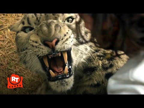 Kraven the Hunter (2024) - Kraven Wrestles A Leopard Scene | Movieclips