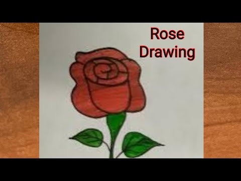 How to draw Rose step by step / Rose drawing and colouring / Rose drawing easy / Rose flower drawing