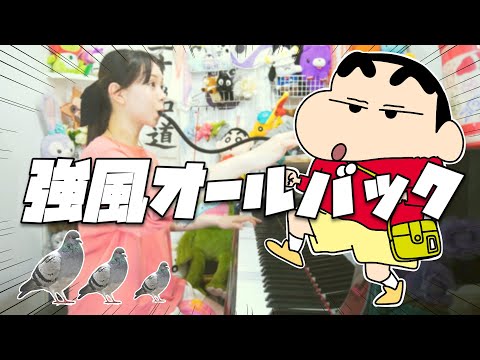 【声真似】もしもクレヨンしんちゃんが『強風オールバック』歌ってみたら【まなまる】