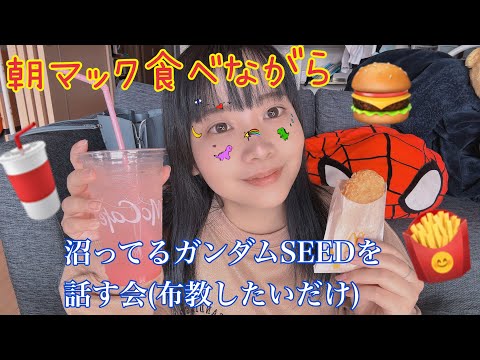 朝マック食べながらガンダムSEED FREEDOMの良さを語る🍔🍟