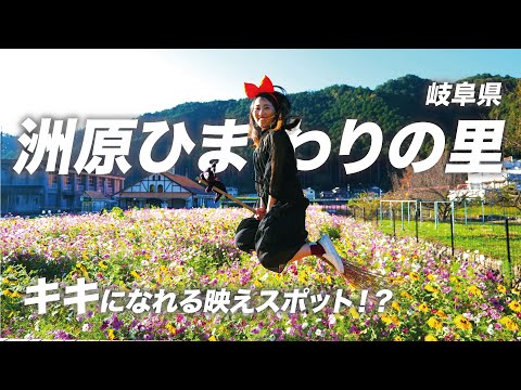 【岐阜】洲原ひまわりの里で魔女の宅急便になってきました！ ひまわり | コスモス | 美濃太田 | お花畑