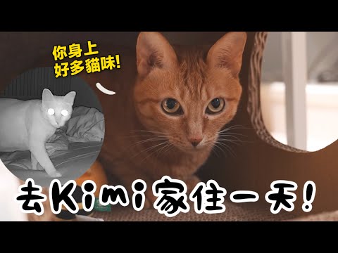 【黃阿瑪的後宮生活】去Kimi家住一天！