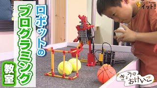 幼稚園児から高校生まで！子供たちが夢中になる“ロボット”のプログラミング教室（きょうのおけいこ）