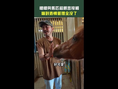 #峮峮 與馬匹超親密接觸 嚇到表情管理全沒了 #Shorts