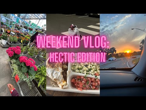 HECTIC WEEKEND VLOG: job interviews, road-trip, etc.