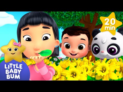 Sing-A-Song of Colours💐 | Little Baby Bum | Kids Cartoons & Nursery Rhymes | Moonbug Kids