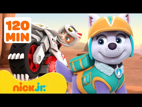 PAW Patrol is Everywhere But Adventure Bay! w/ Everest | 120 Minutes | Nick Jr.