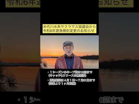 令和６年４月から米代川サクラマスは１シーズンキープ10匹まで！（米代川水系サクラマス協議会が遊漁規則変更）