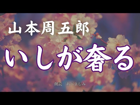 【朗読】山本周五郎「いしが奢る」　　朗読・あべよしみ