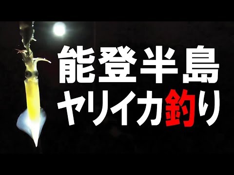 【ヤリイカ釣り】能登半島でのんびり夜釣り！ヤリイカ2段仕掛け紹介！