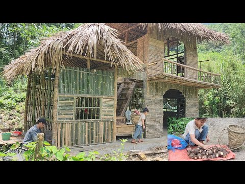 Poor girl - Harvesting taro to sell, and Uncle Quoc helps make kitchen walls with bamboo