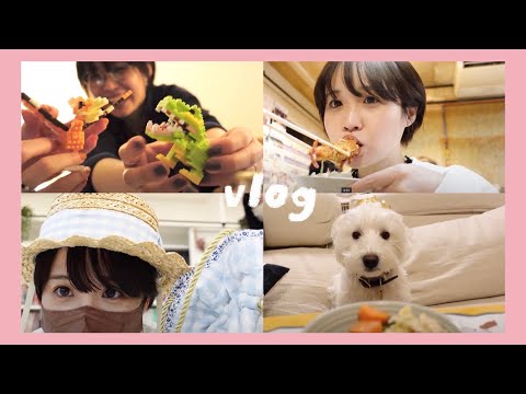 = vlog =１２月の日常、愛犬の誕生日、アパレル新作、サウナ旅