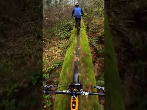 Riding an abandoned pipeline #mountainbiking #mtb #canada