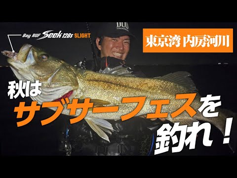 秋攻略の絶対レンジ！サブサーフェスを攻める！in内房河川