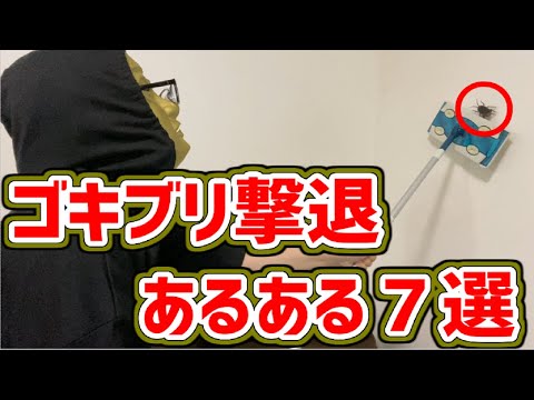 【ゴキブリ撃退あるある７選】恐怖！ゴキブリ出現で大パニック！夜中に仕留め損ねた人の末路