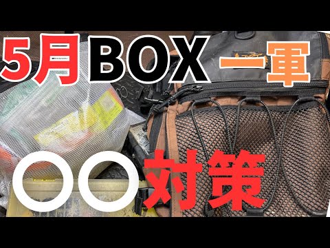 【5月のバス釣り】4月からバッグの中身を大変更！5月に強いルアー、ワームを解説しながら、BOX整理。今年は、あのルアーが輝くかも、、【2024年使いたいルアー】【不朽の名作ルアー】