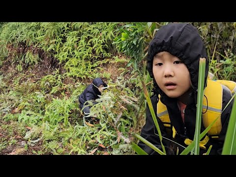 Daily life single mother, suddenly daughter meets bad guy chase ||Lý Tiểu Sao