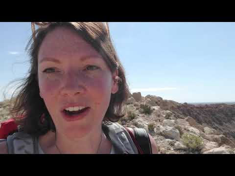 TripBee Hits Meteor Crater