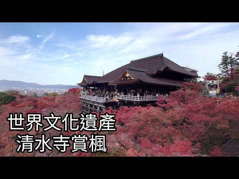 世界文化遺產清水寺賞楓（紅葉見頃，拜觀，逛紅葉下最美市集，用破日文買伴手禮，清水坂、二年坂散策）