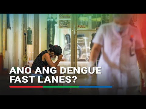 Ano ang dengue fast lanes? | ABS-CBN News