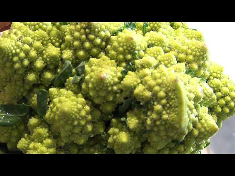 Romanesco and spam | Stir-fried butter [winter vegetable recipe]