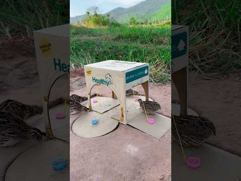 DIY Creative - Amazing Creative Unique Quail Trap Using Cardboard Box #shorts