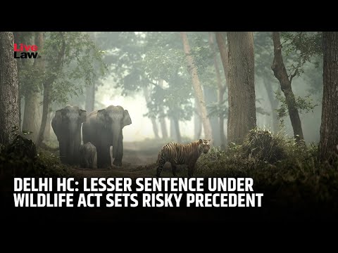 Awarding Less Than Min Prescribed Sentence Under Wildlife Protection Act Frustrates Object: Delhi HC