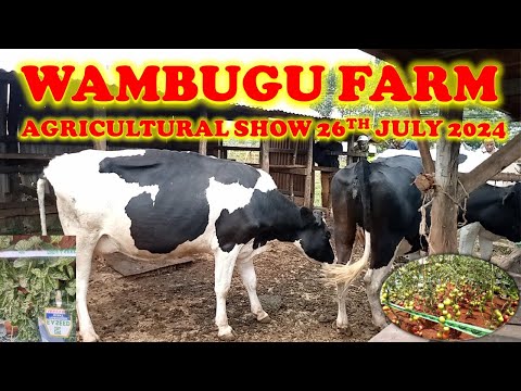 Wambugu Farm Agricultural Show 2024