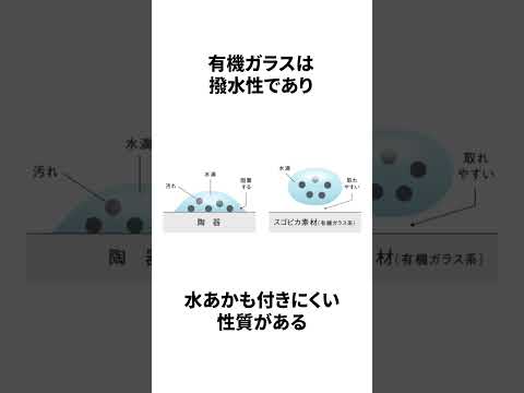 アラウーノの嘘みたいな雑学