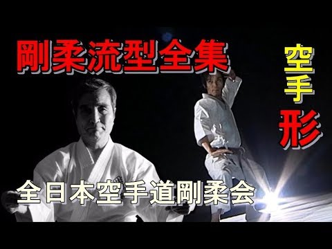 全日本空手道剛柔会形 剛柔流型全集全4巻 セイサン karatedo kata DVD