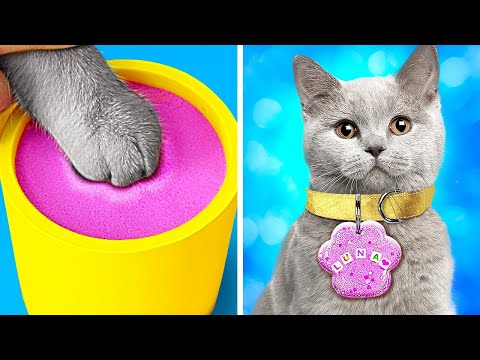 UPCYCLE & DIY || Adorable Pet Crafts That Will Make Your Heart Melt by 123 GO! Galaxy