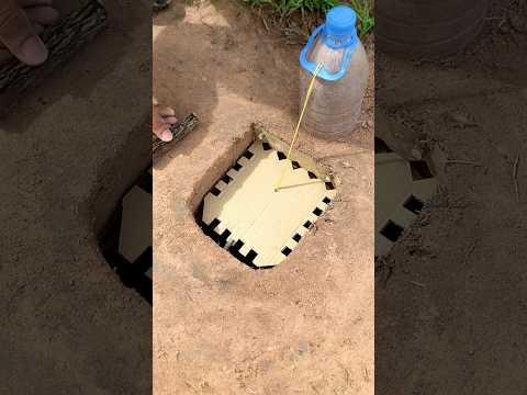 Making Unique Bird Trap #diy_creative #shorts