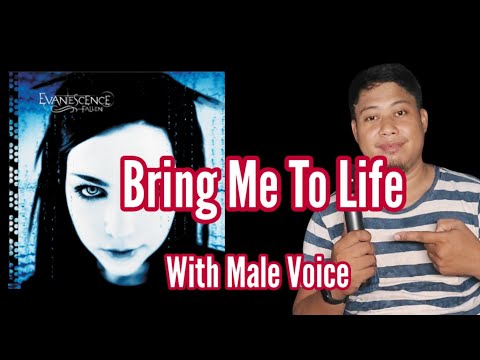 Bring Me to Life - Evanescence -Sing With Me