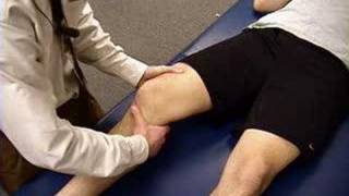 Knee Exam: Lachman Test