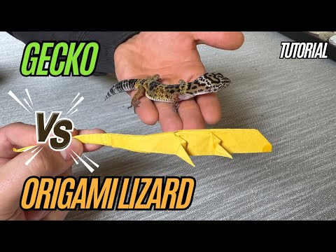 Real Lizard vs Origami Lizard! 🦎 Who Wins? (Fast Tutorial at the End!)