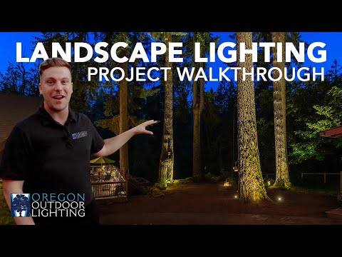 Landscape Lighting with Giant Fir Trees | Oregon Outdoor Lighting