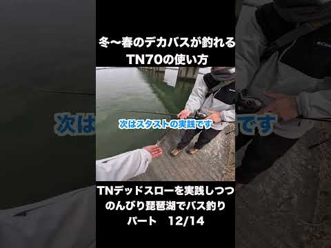 Directly taught by Mr. Kato! Bass fishing on Lake Biwa while practicing TN70 dead slow #bassfishi...