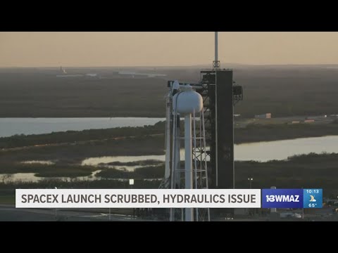 SpaceX Cancels Launch to Replace Stuck Astronauts: NASA’s Crew Stuck in Orbit After 9 Months